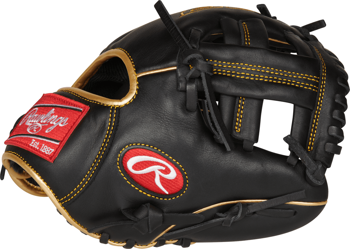 Rawlings R9 9.5" Training Glove - R9TRBG product image 2, provided for visual reference and product detail review